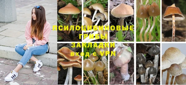 соль ск Навашино