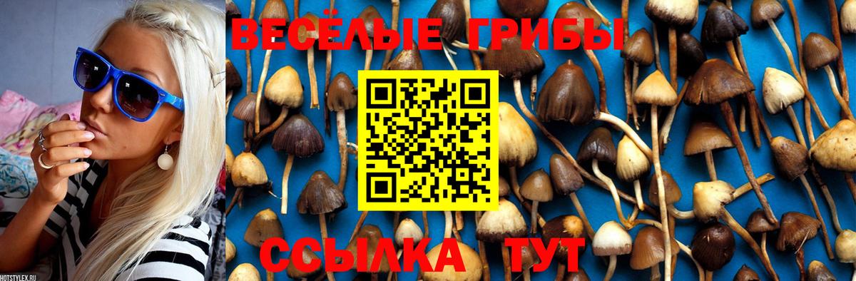 Галлюциногенные грибы MAGIC MUSHROOMS  Вход с VPN  где купить наркоту  Миллерово 