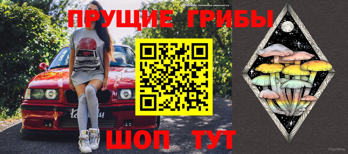 как найти закладки  Миллерово  Псилоцибиновые грибы ЛСД 