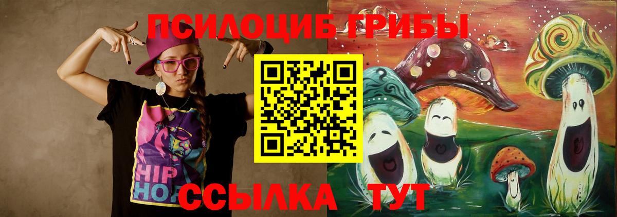 Галлюциногенные грибы Psilocybe Миллерово
