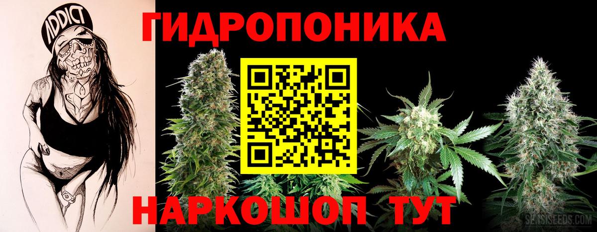 Шишки марихуана OG Kush  Марихуана LSD WEED  Миллерово  Бошки Шишки Bruce Banner  Вход с VPN  Бошки марихуана THC 21% 